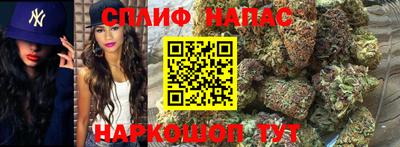 СК Моздок