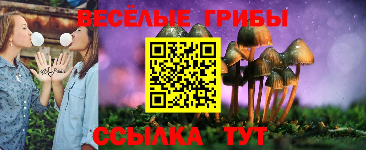 Губкин  Псилоцибиновые грибы Psilocybe  Вход с VPN 